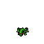 Green Frog